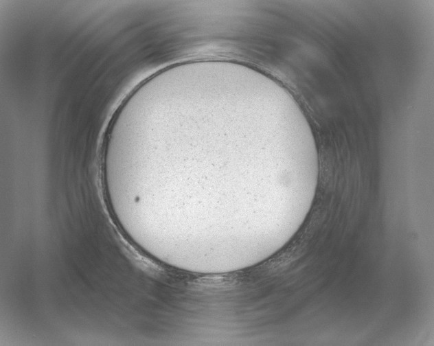 X0000052981478200508051028