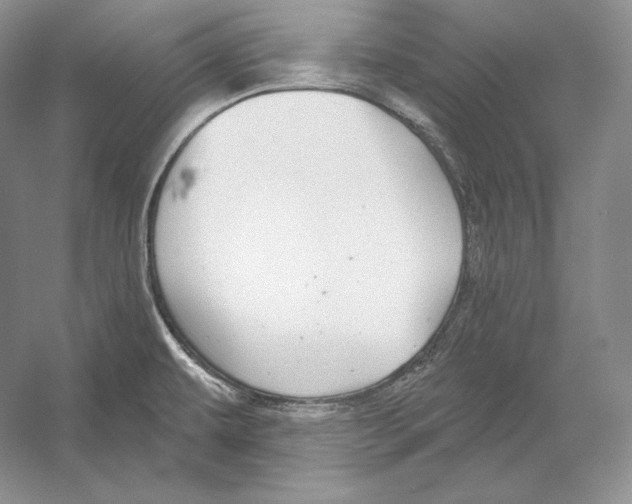 X0000052981479200508051028