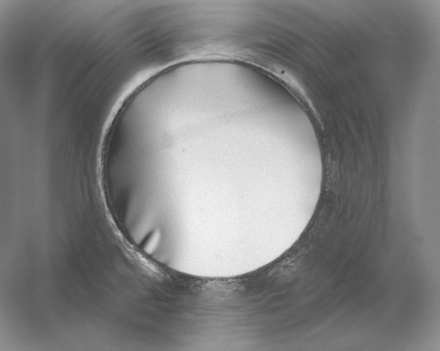 X0000052981480200508051028