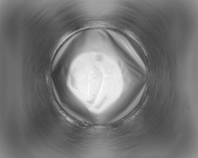 X0000052981481200508051028