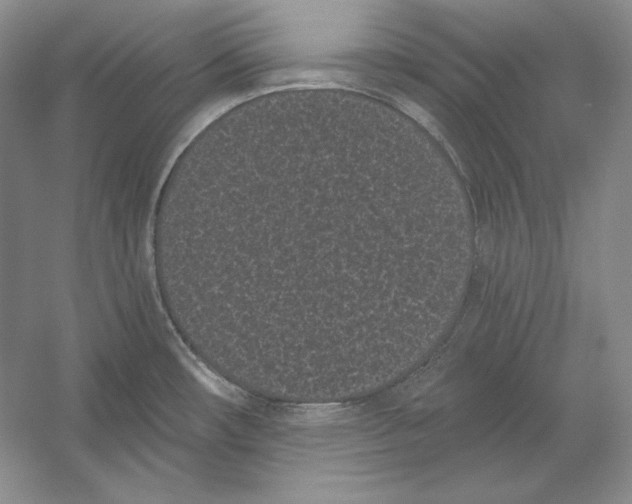 X0000052981482200508051028