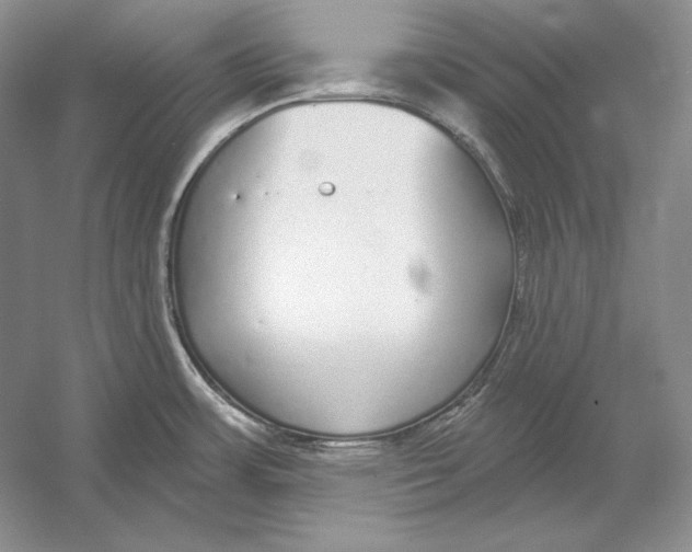 X0000052981483200508051028