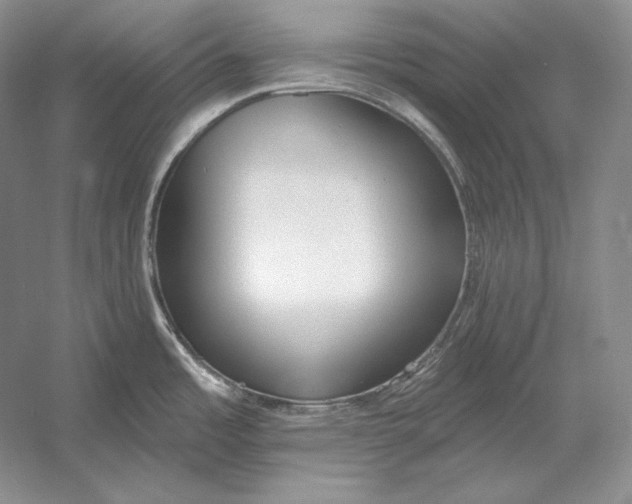 X0000052981485200508051028