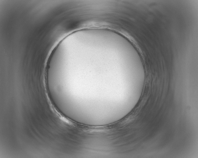 X0000052981486200508051028