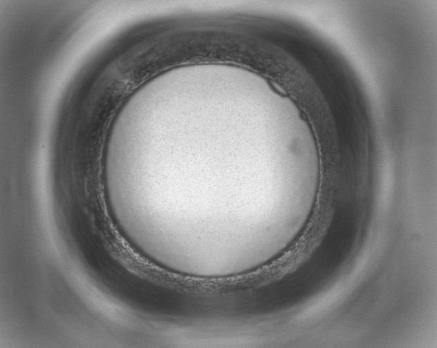 X0000052981487200508051028