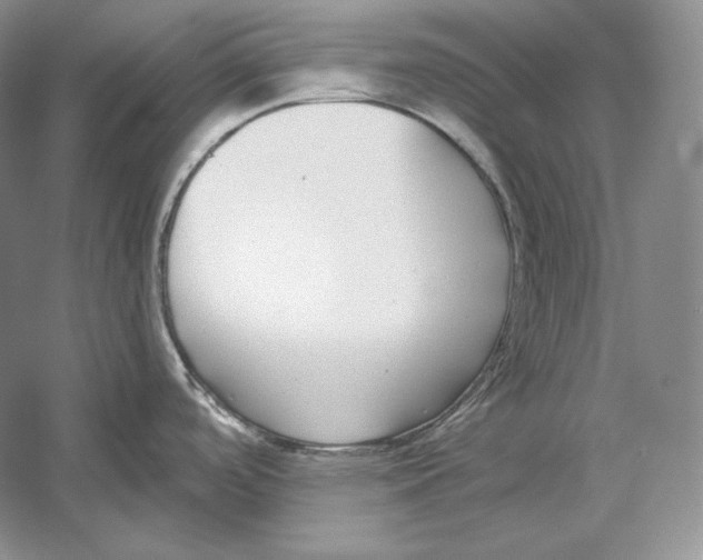 X0000052981488200508051028