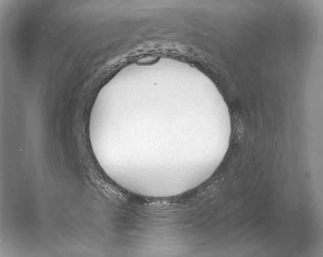 X0000052981489200508051027