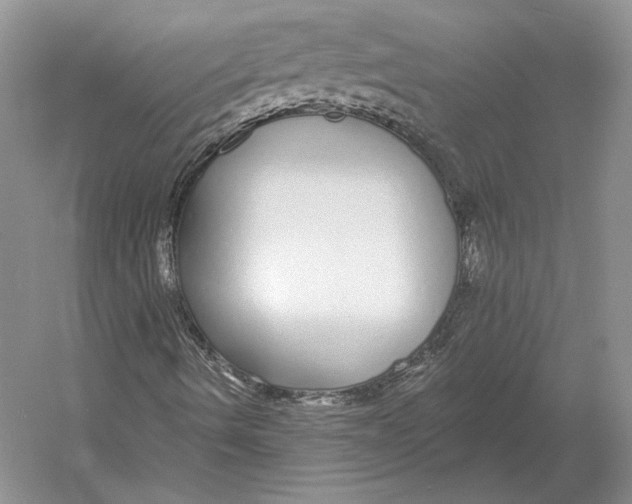 X0000052981490200508051027