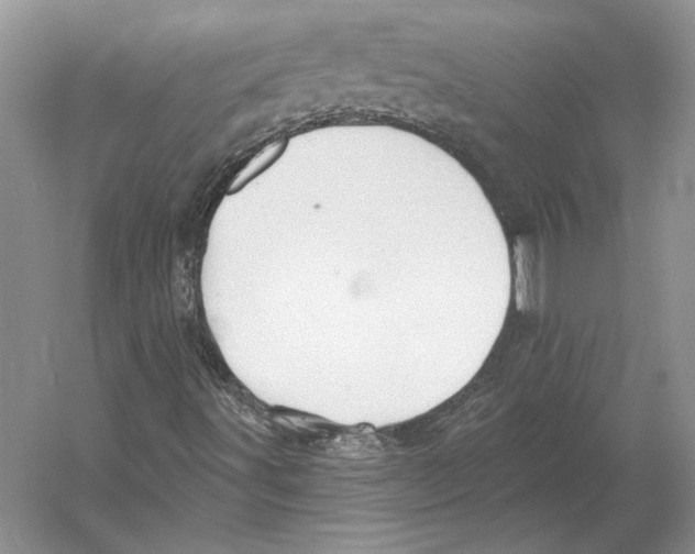 X0000052981491200508051027