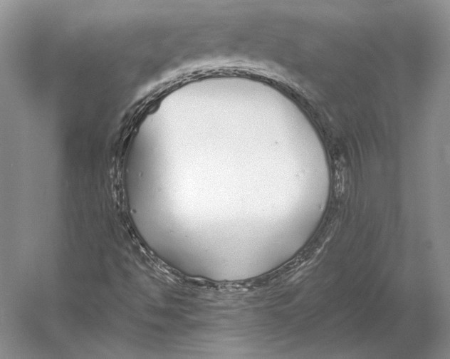 X0000052981494200508051027