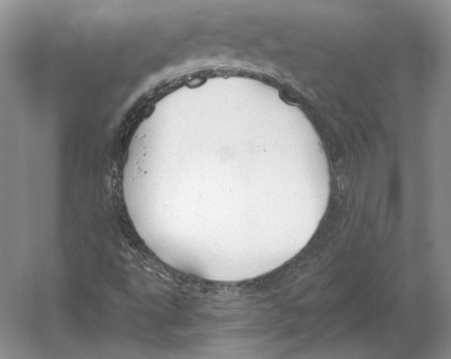 X0000052981495200508051027