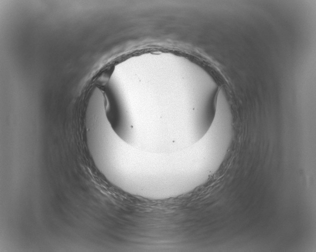 X0000052981496200508051027