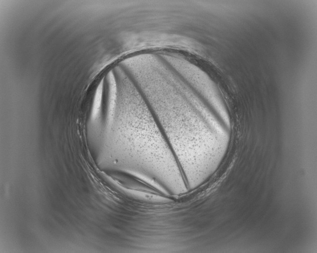 X0000052981497200508051027