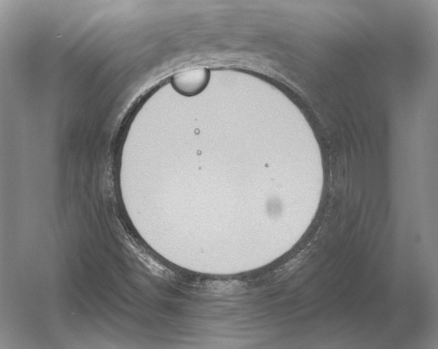 X0000052981498200508051027