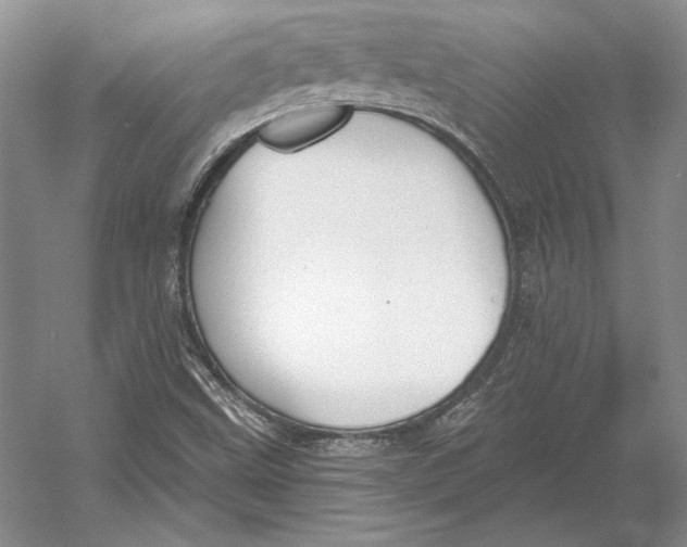 X0000052981499200508051027