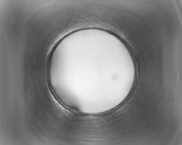 X0000052981500200508051027