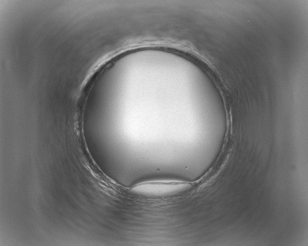 X0000052981501200508051027