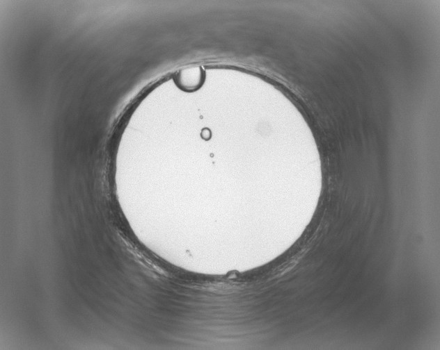 X0000052981502200508051027