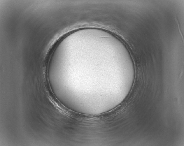 X0000052981503200508051027