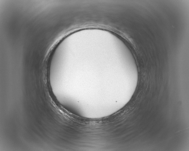 X0000052981504200508051027