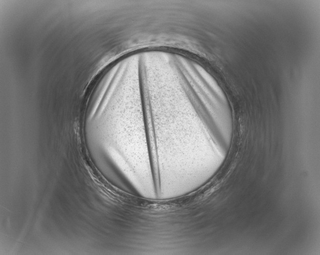 X0000052981505200508051027