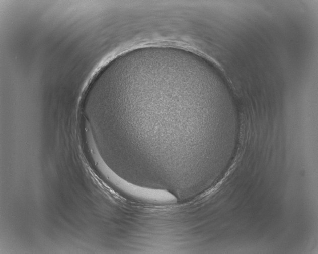 X0000052981506200508051027