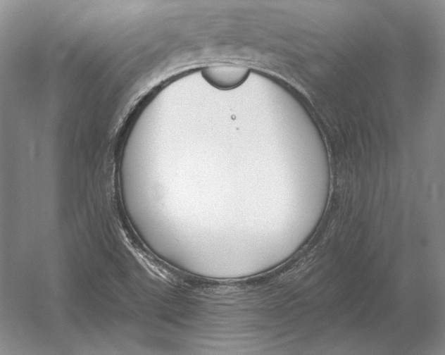 X0000052981507200508051027