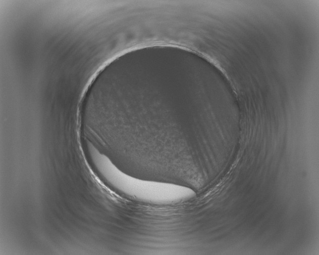 X0000052981508200508051027