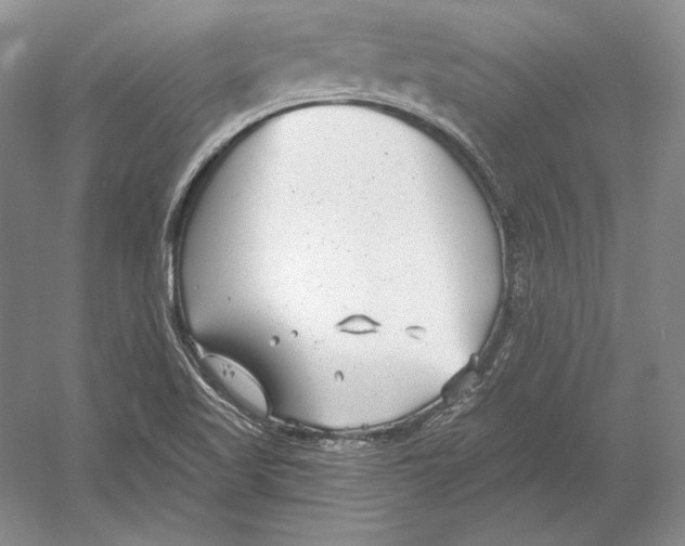 X0000052981509200508051027