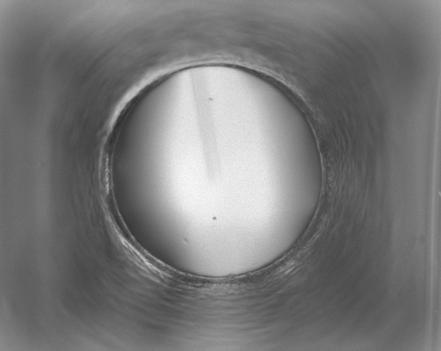 X0000052981510200508051027