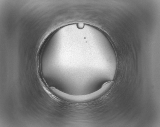 X0000052981511200508051027