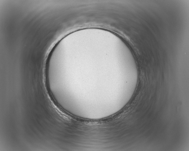 X0000052981512200508051027