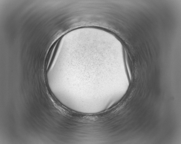 X0000052981513200508051027