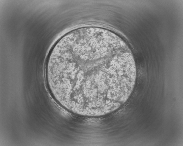 X0000052981514200508051027