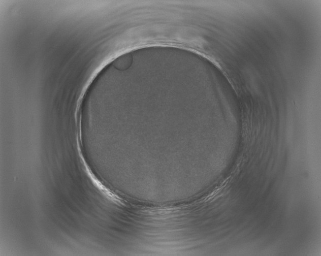 X0000052981515200508051027