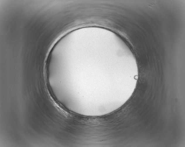 X0000052981516200508051027