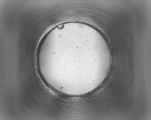 X0000052981517200508051027