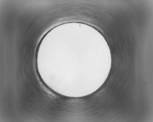 X0000052981518200508051027