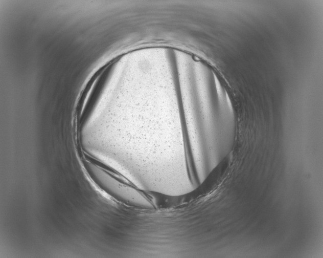 X0000052981519200508051027