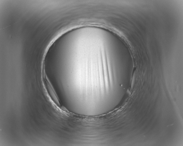 X0000052981520200508051027