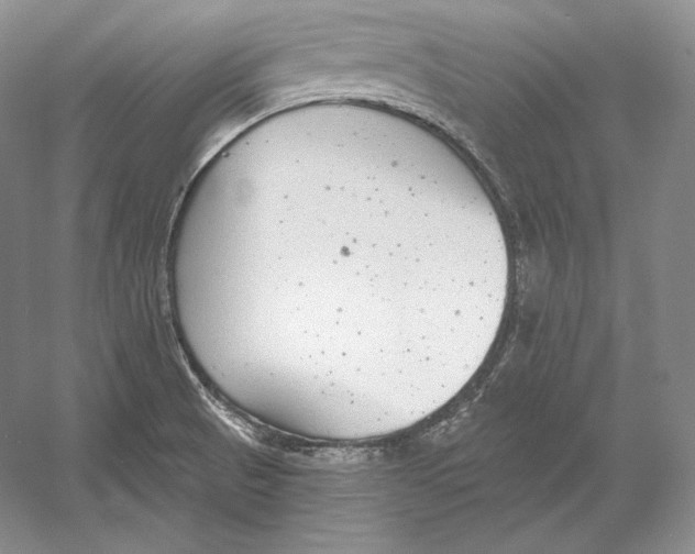 X0000052981521200508051027