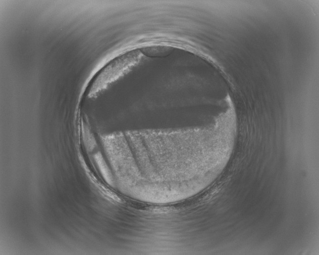 X0000052981522200508051027