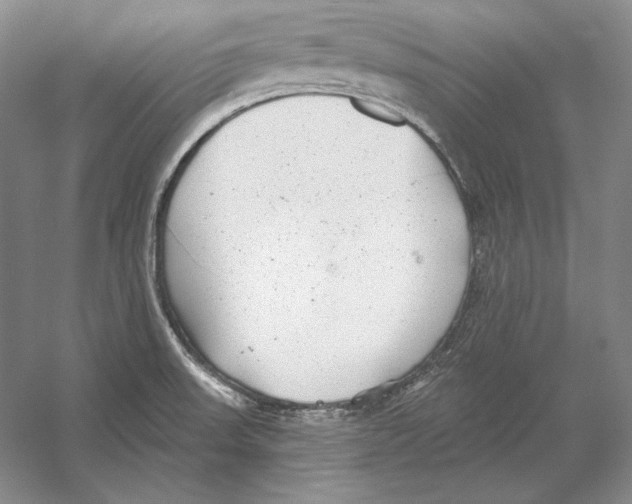 X0000052981523200508051027