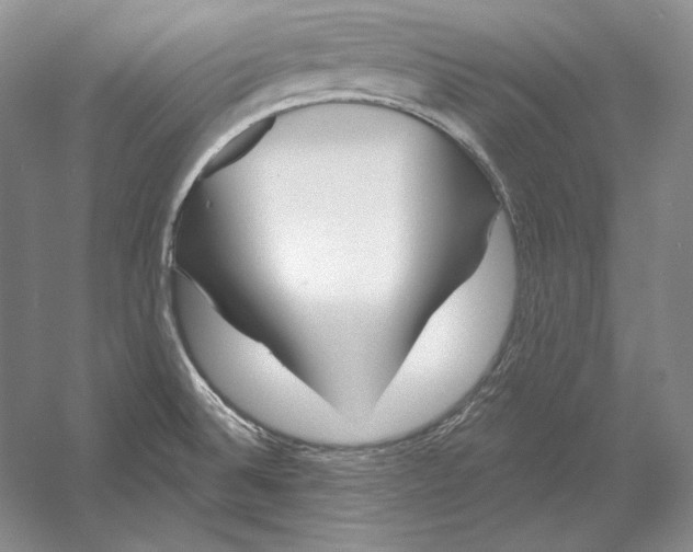 X0000052981524200508051027