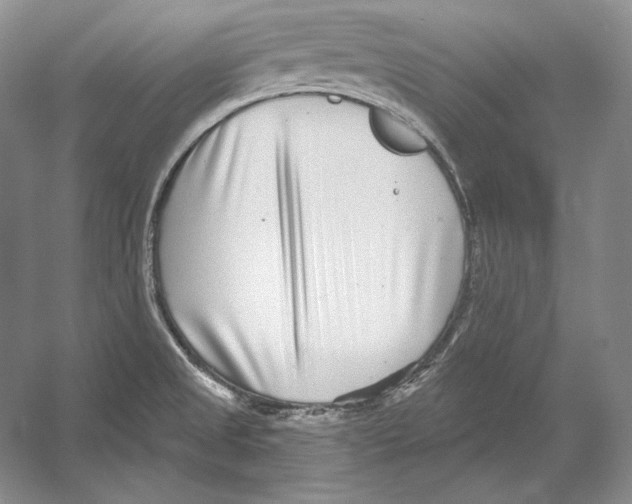 X0000052981525200508051027