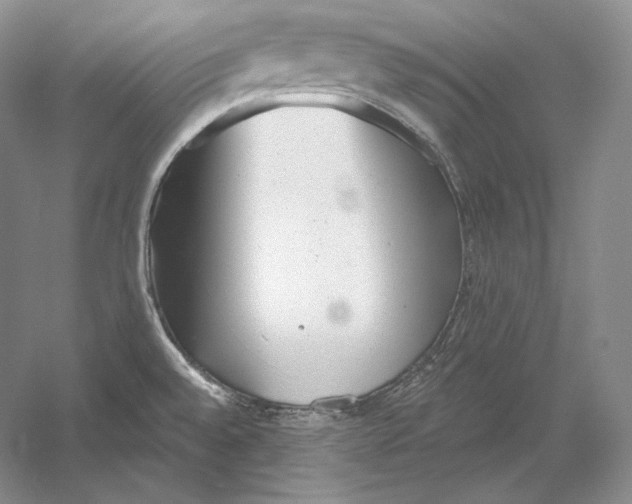 X0000052981528200508051027