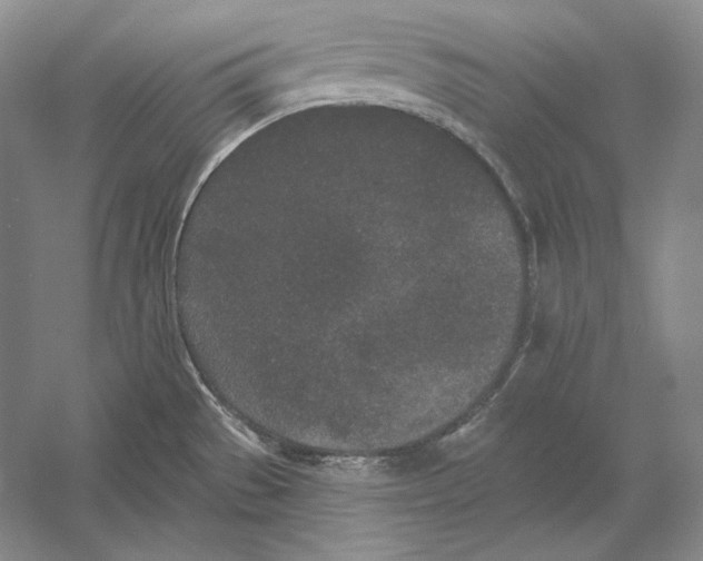 X0000052981529200508051027