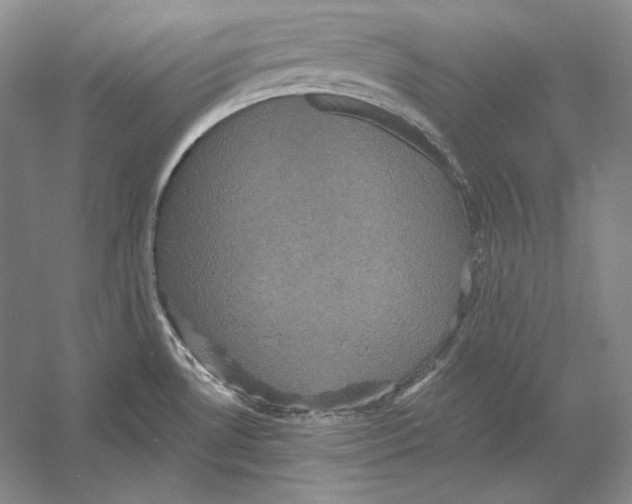 X0000052981530200508051027