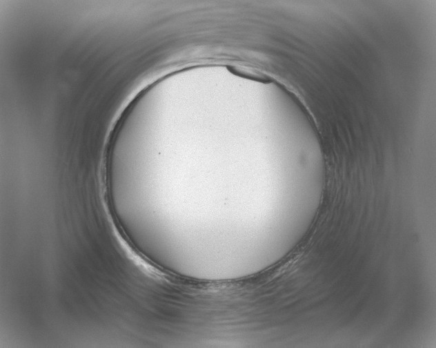 X0000052981531200508051028