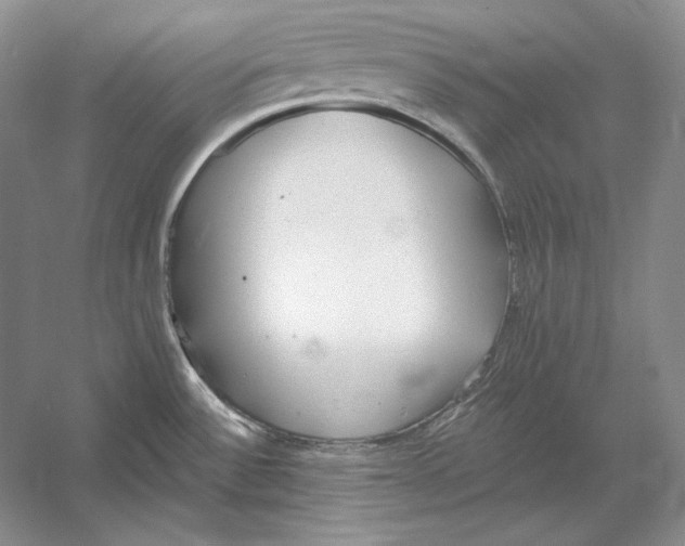 X0000052981532200508051028